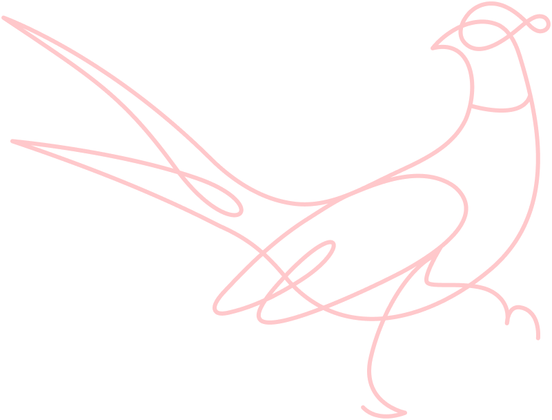 Flaneur